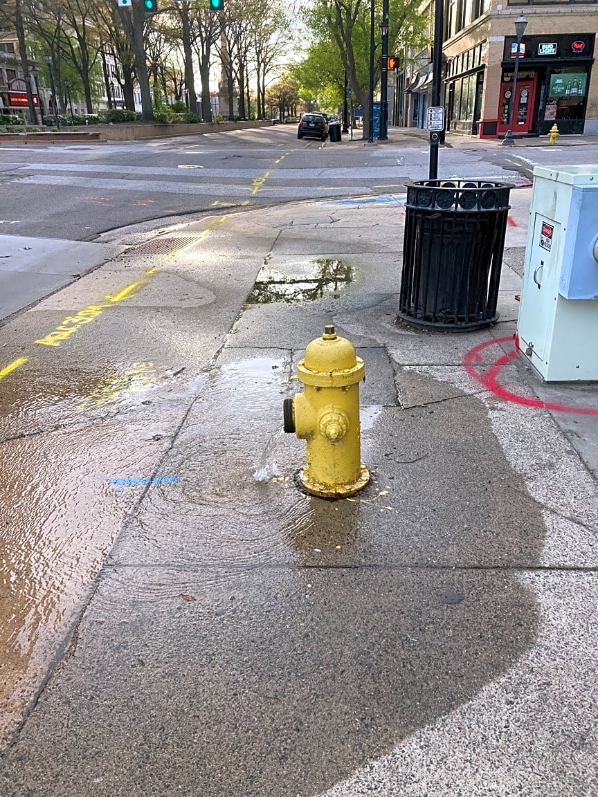 Image submitted with report