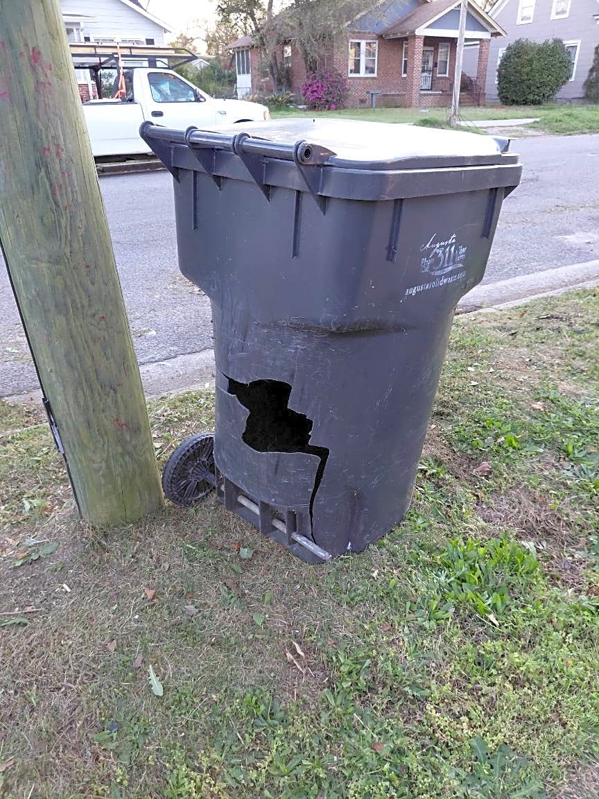 Image submitted with report