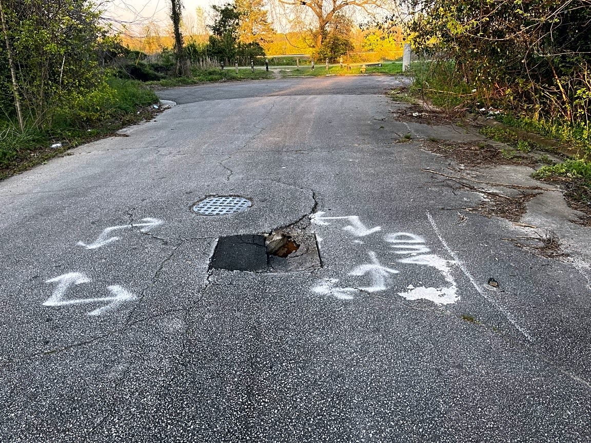 Image submitted with report