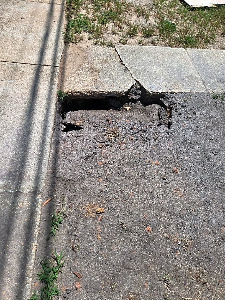 Image submitted with report