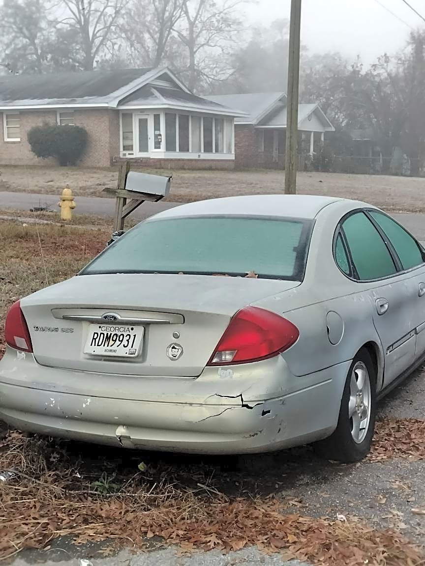 Image submitted with report