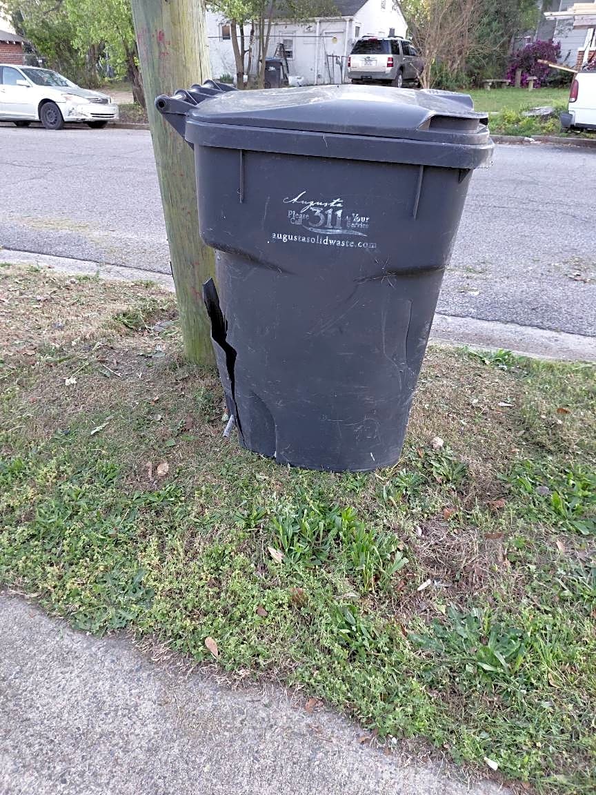 Image submitted with report