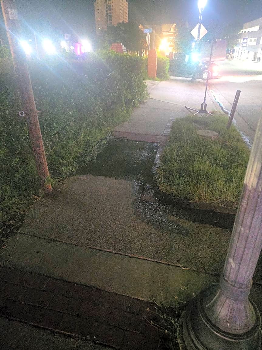 Image submitted with report
