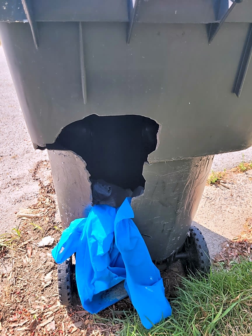 Image submitted with report