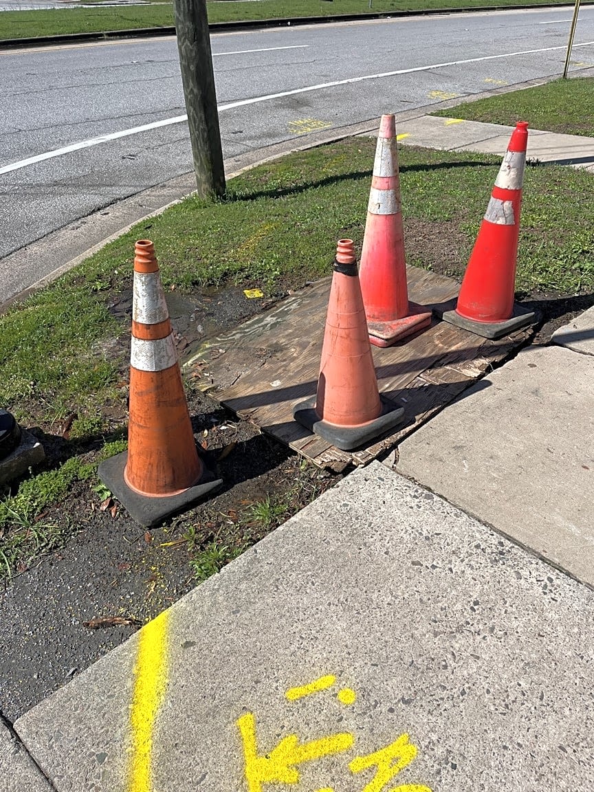 Image submitted with report