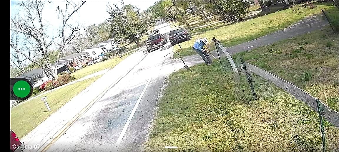 Image submitted with report