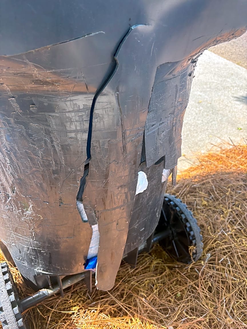 Image submitted with report