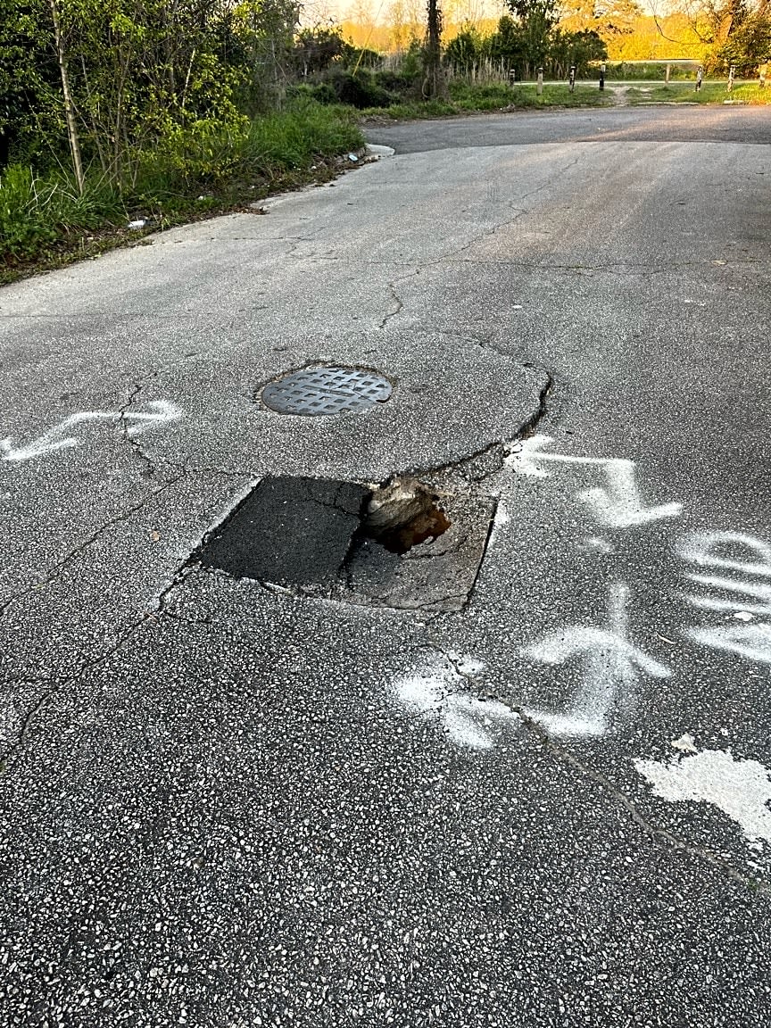 Image submitted with report