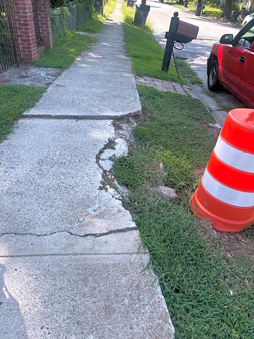 Image submitted with report