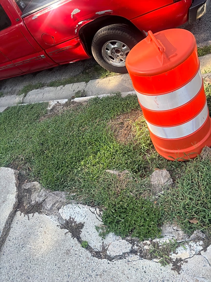 Image submitted with report
