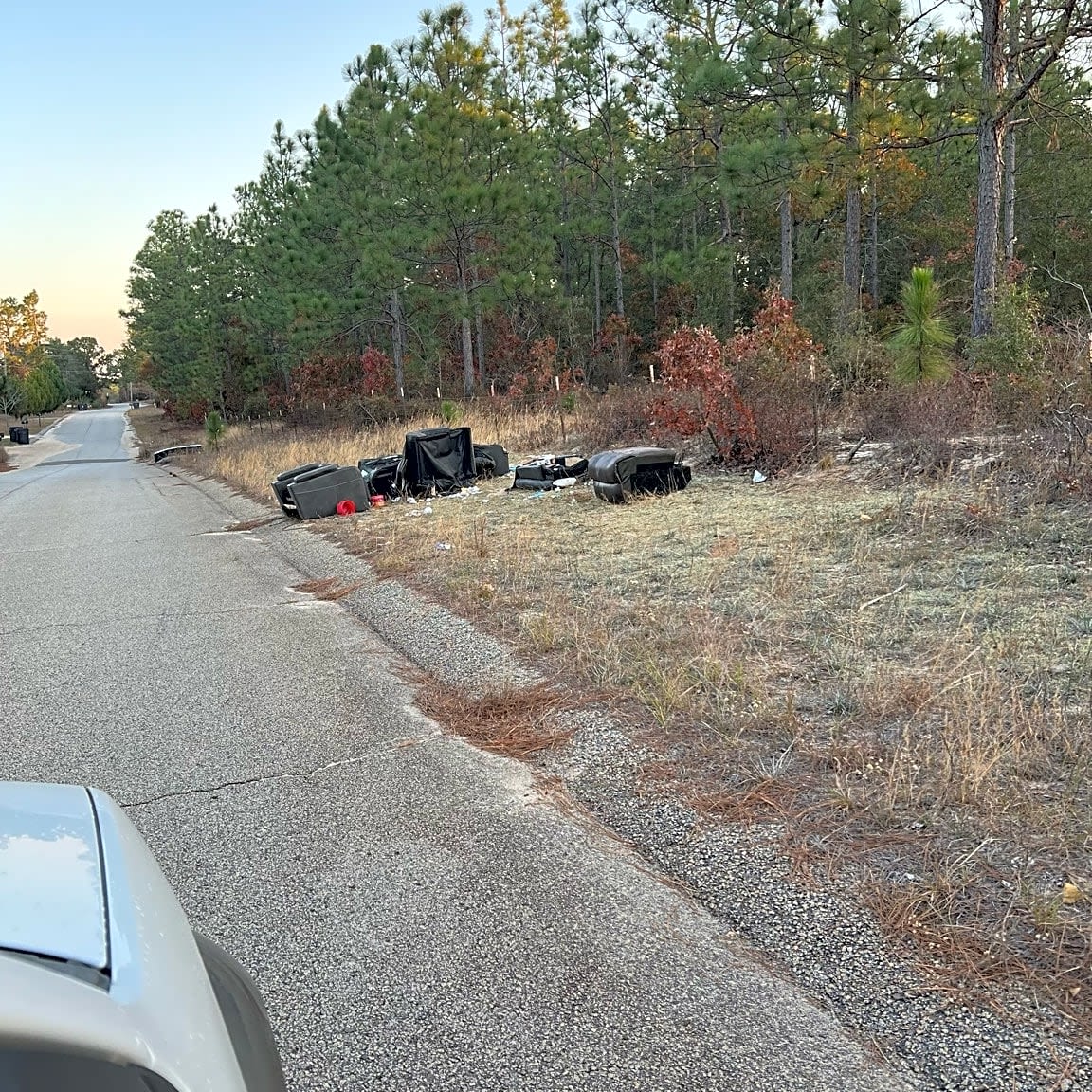 Image submitted with report