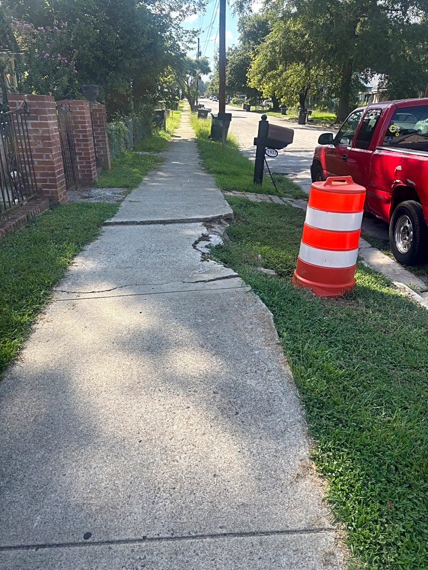Image submitted with report