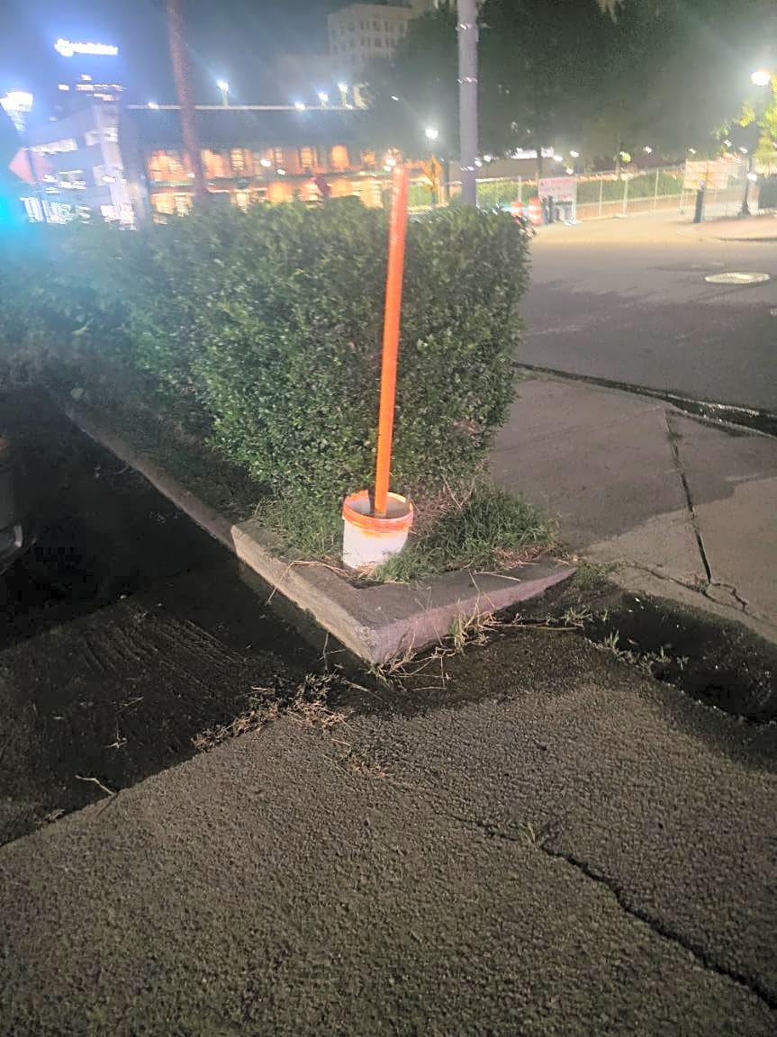 Image submitted with report
