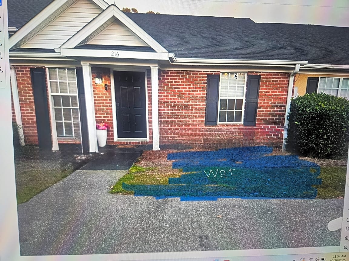 Image submitted with report