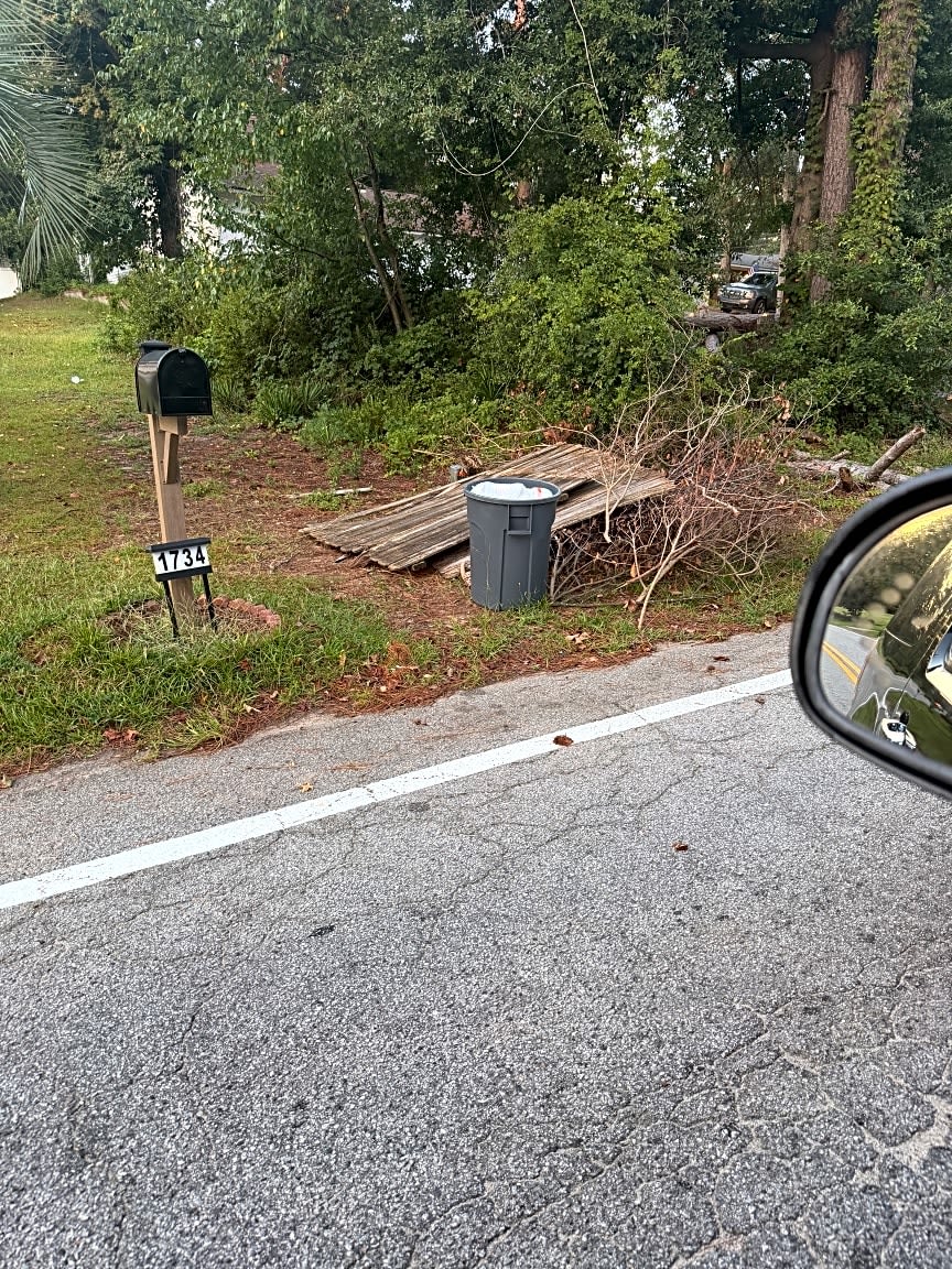 Image submitted with report