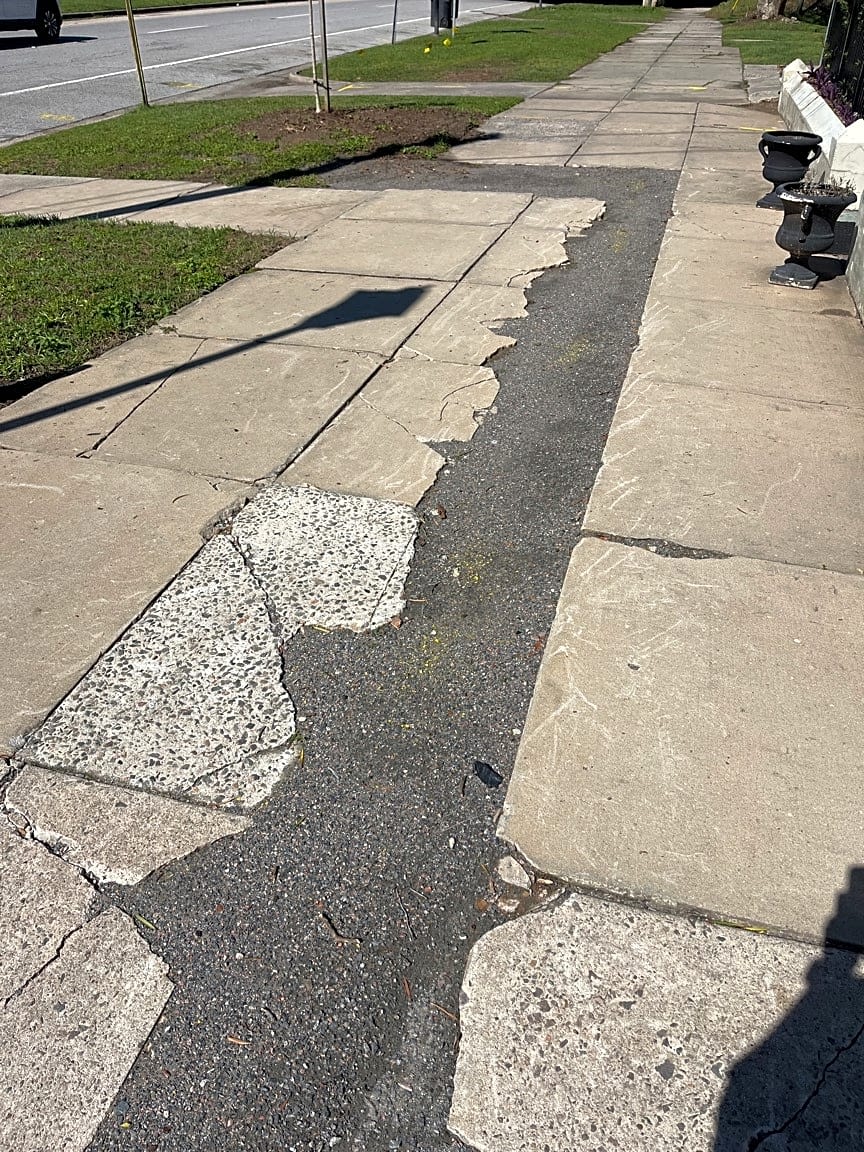 Image submitted with report