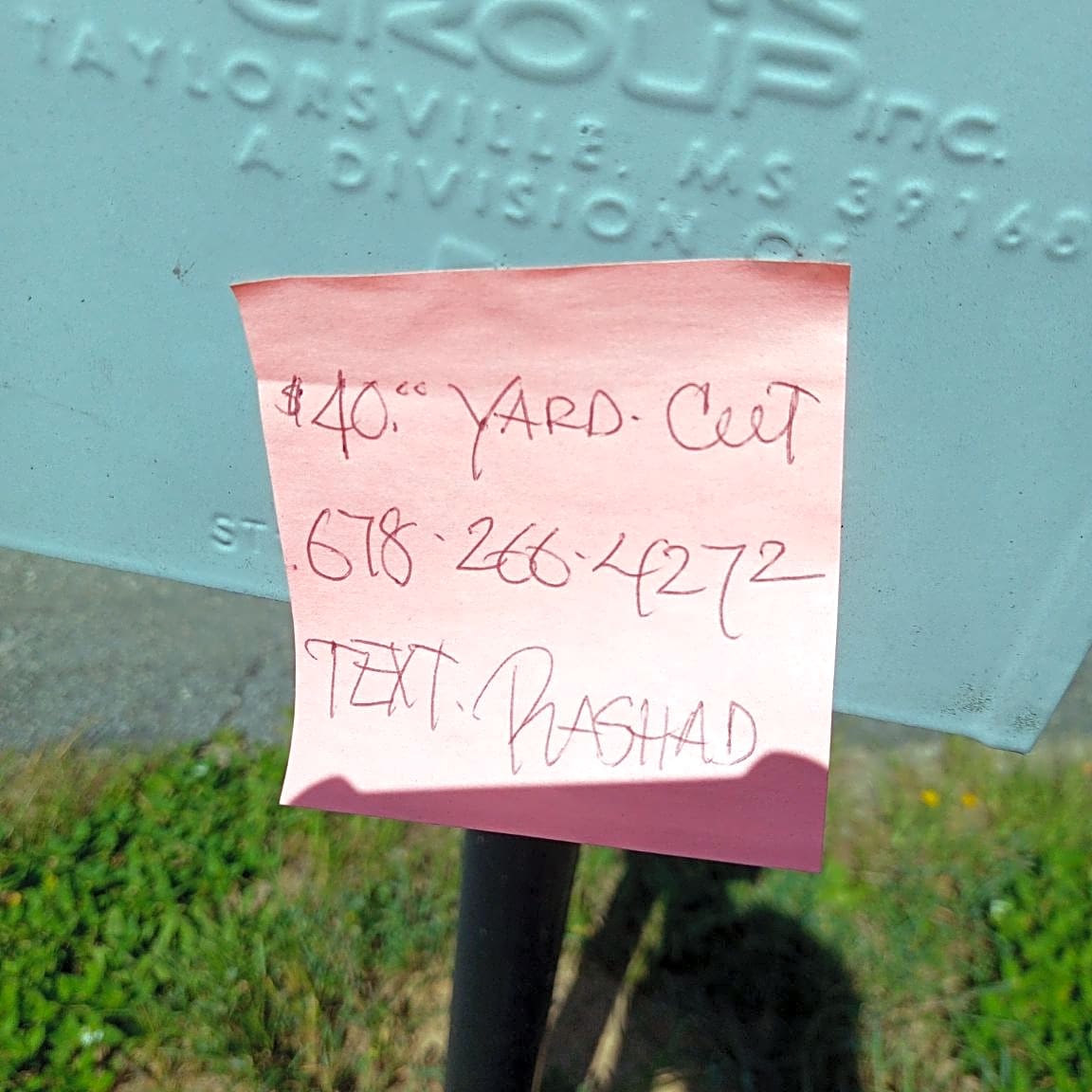 Image submitted with report