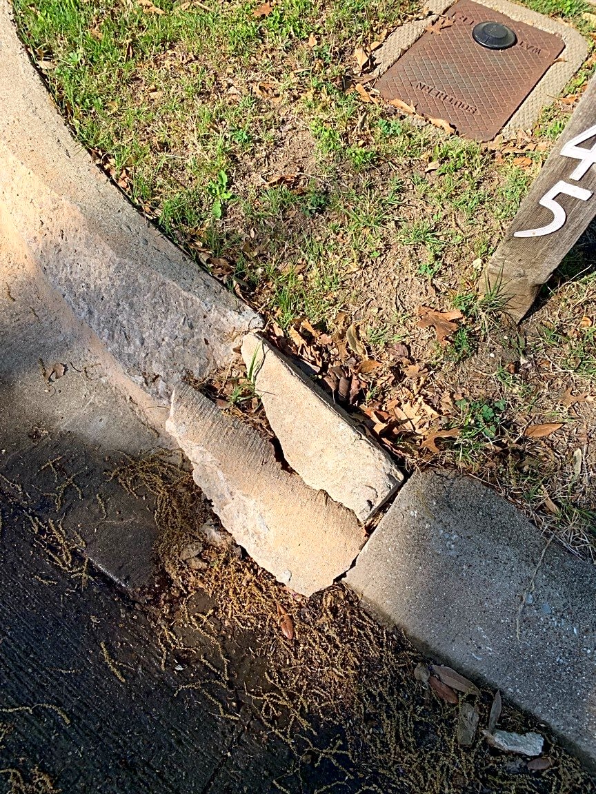 Image submitted with report