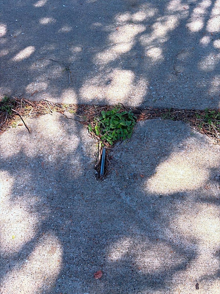 Image submitted with report