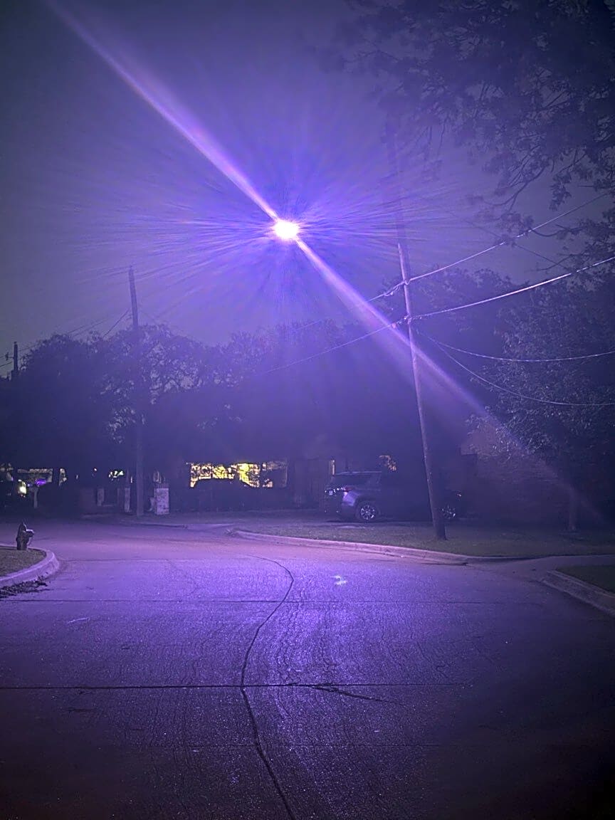 Image submitted with report