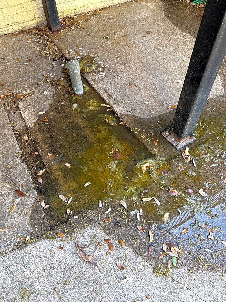 Image submitted with report