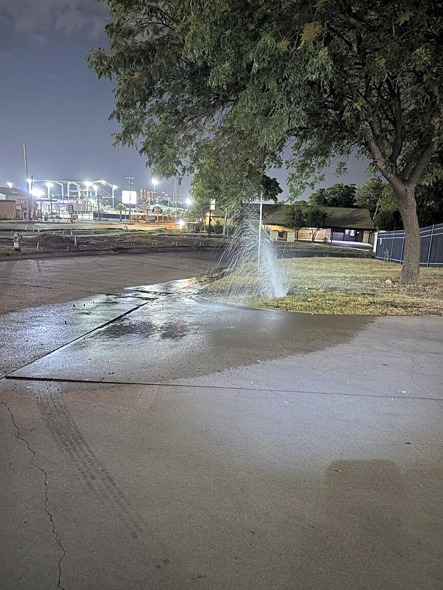 Image submitted with report