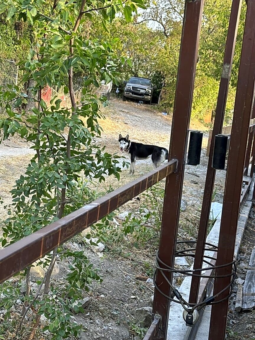 Image submitted with report