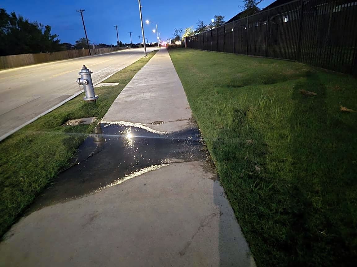 Image submitted with report