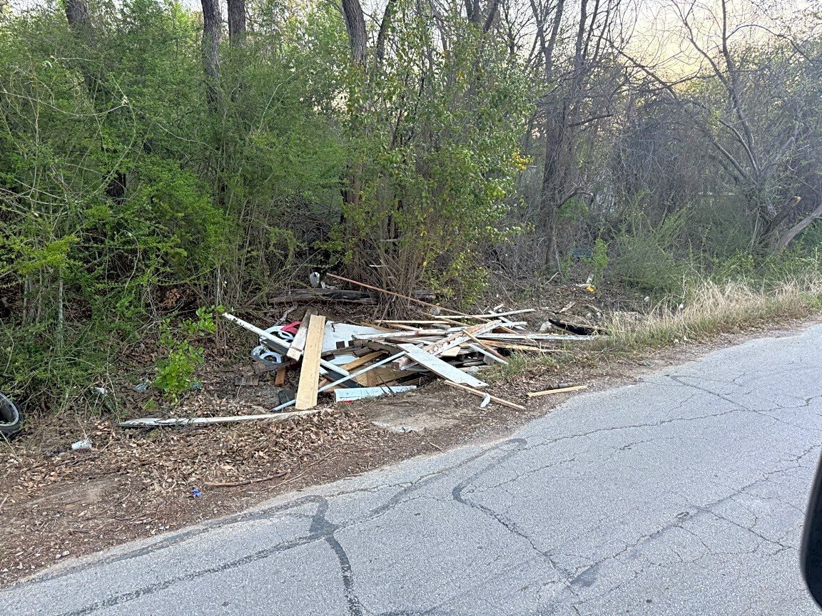 Image submitted with report