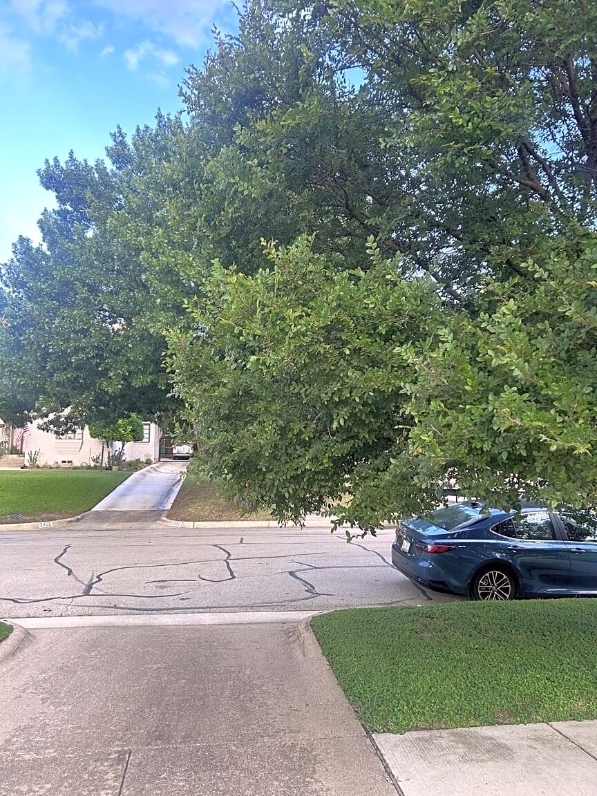 Image submitted with report