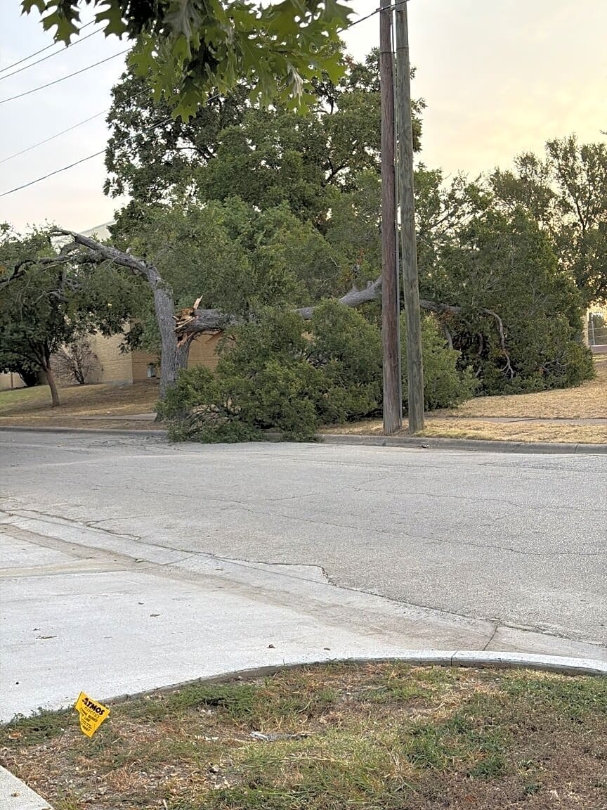Image submitted with report