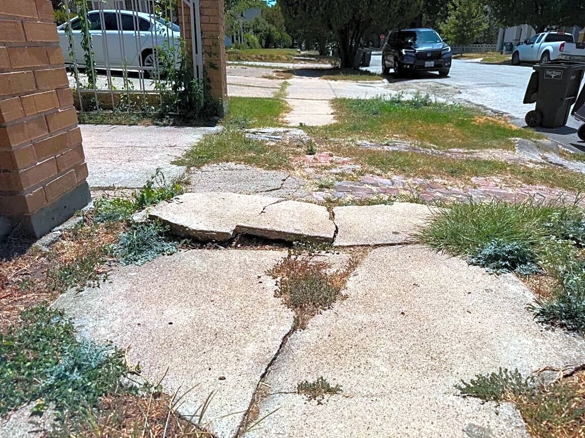 Image submitted with report