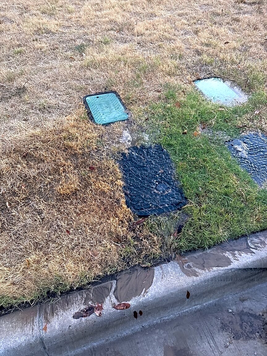Image submitted with report