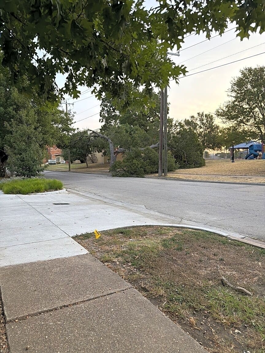 Image submitted with report