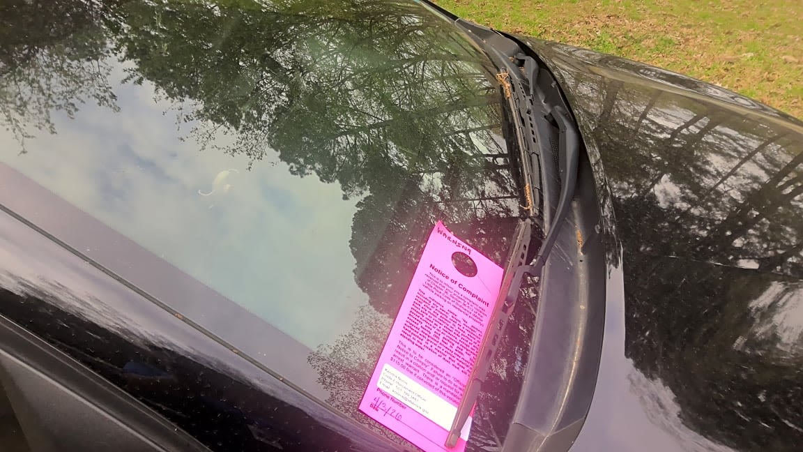 Image submitted with report