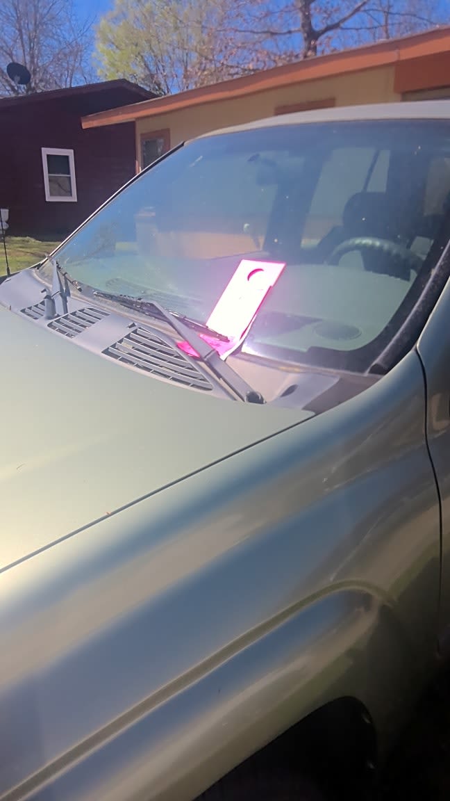 Image submitted with report