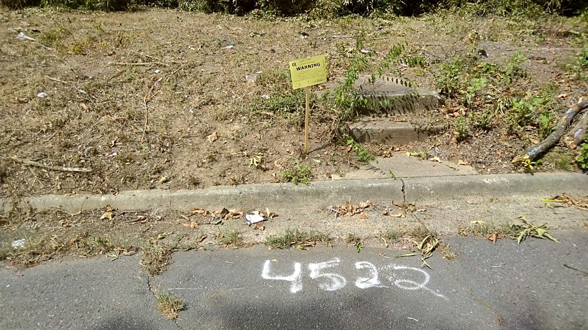 Image submitted with report