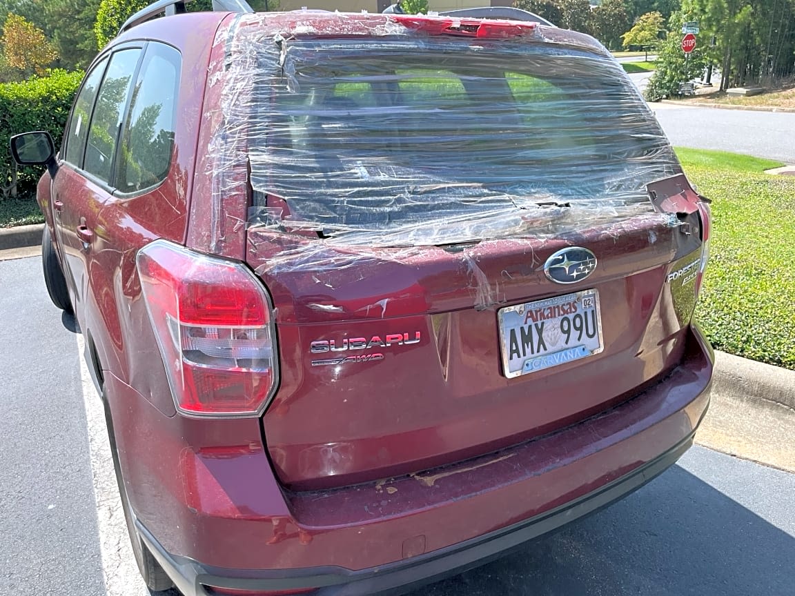 Image submitted with report