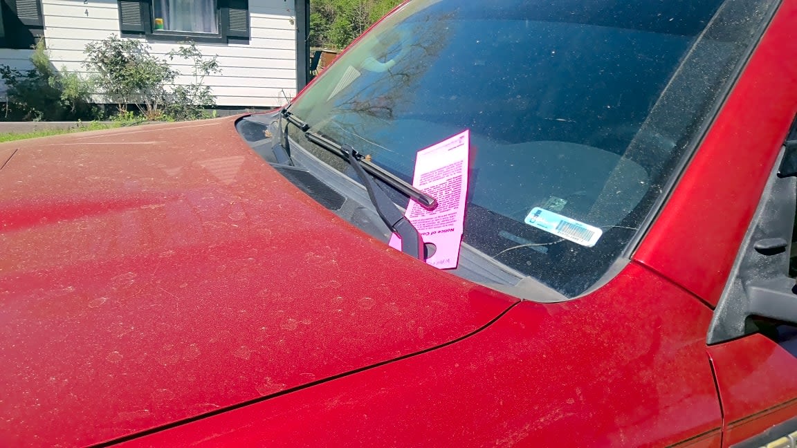 Image submitted with report