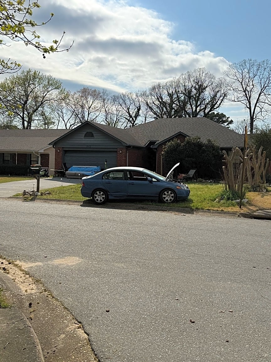 Image submitted with report