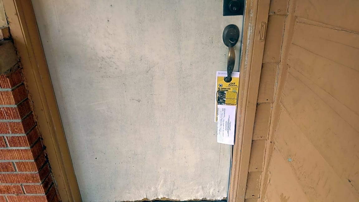 Image submitted with report