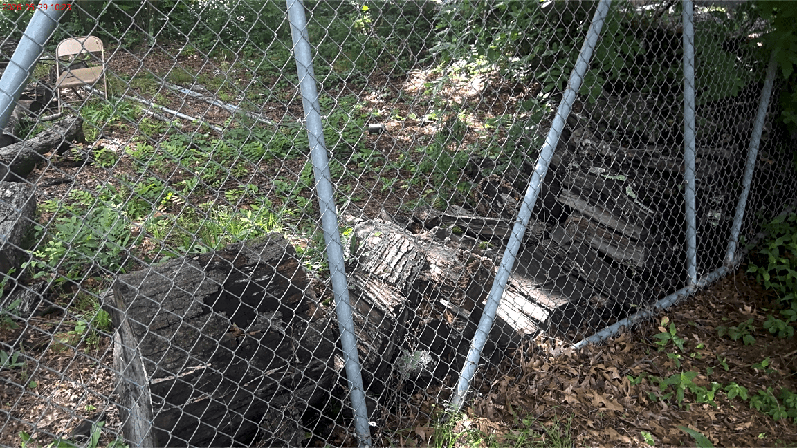 Image submitted with report