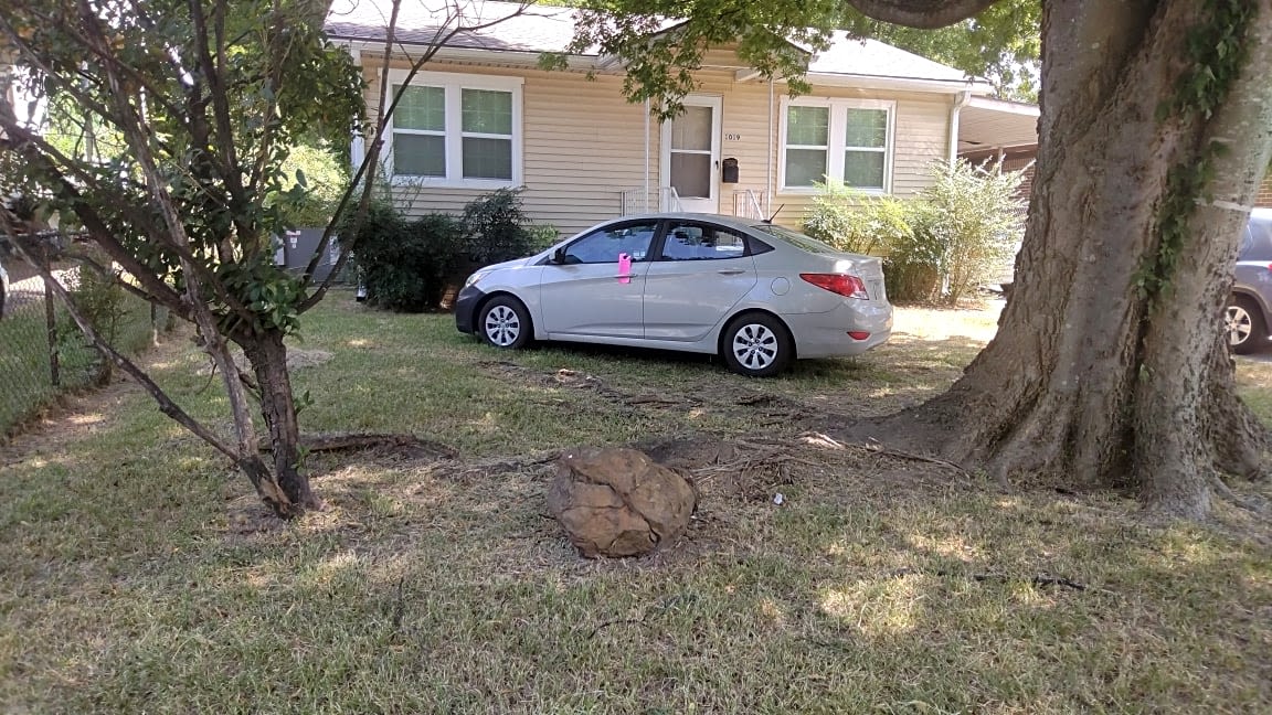 Image submitted with report