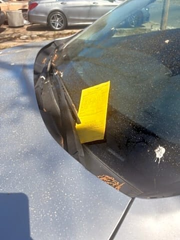 Image submitted with report