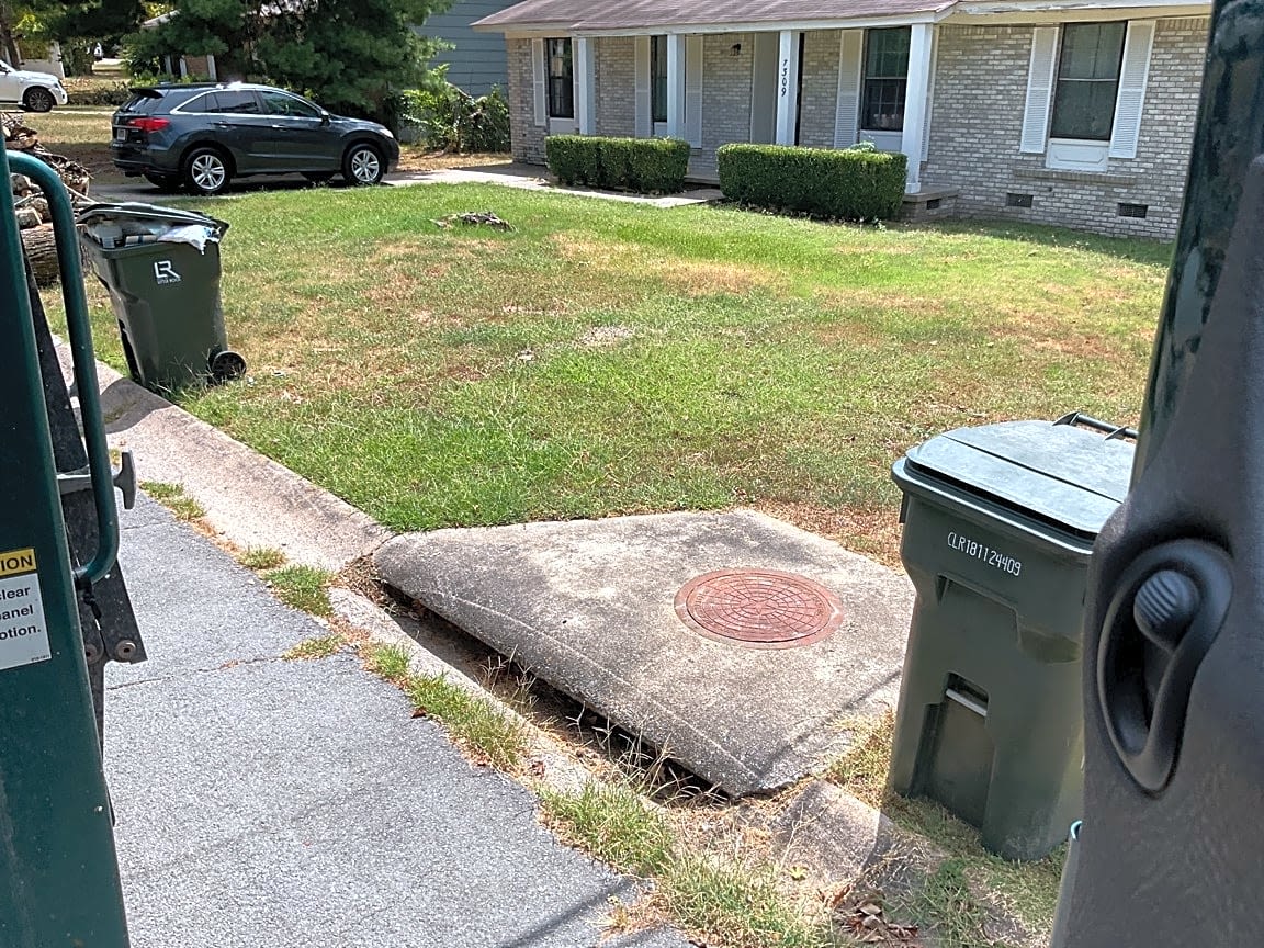 Image submitted with report