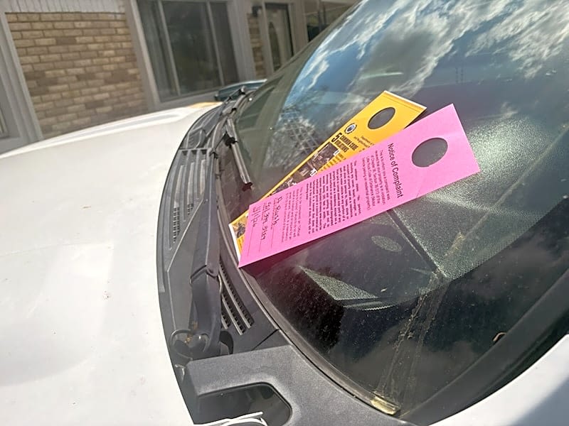 Image submitted with report