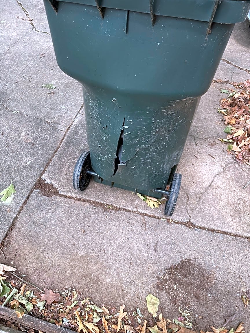 Image submitted with report