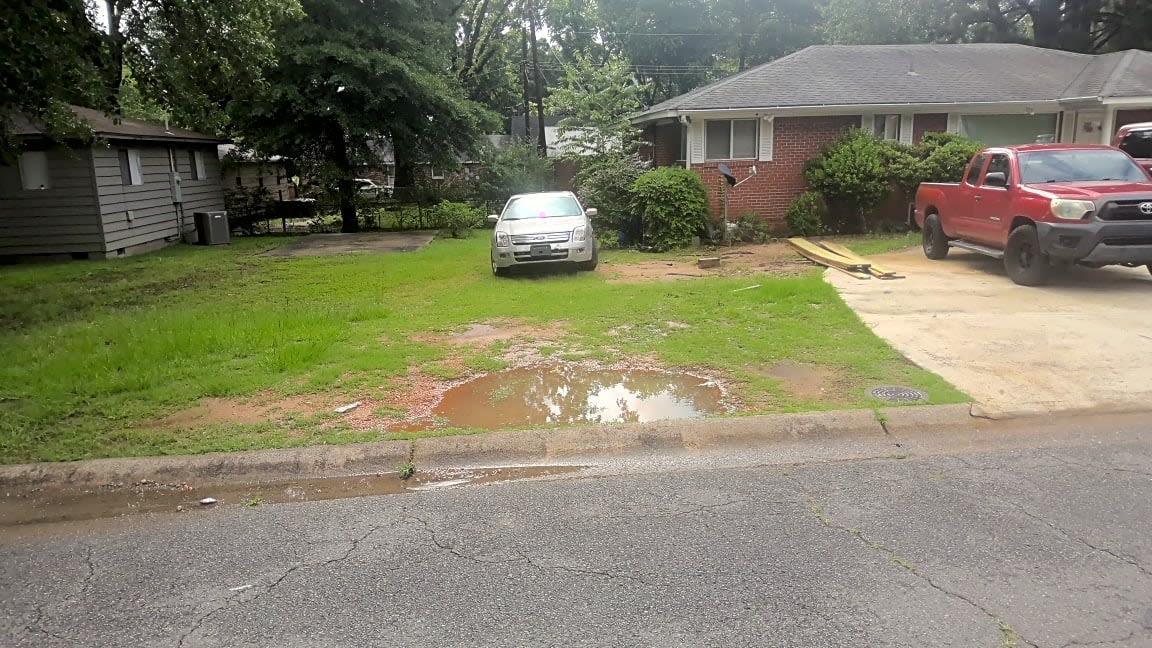 Image submitted with report