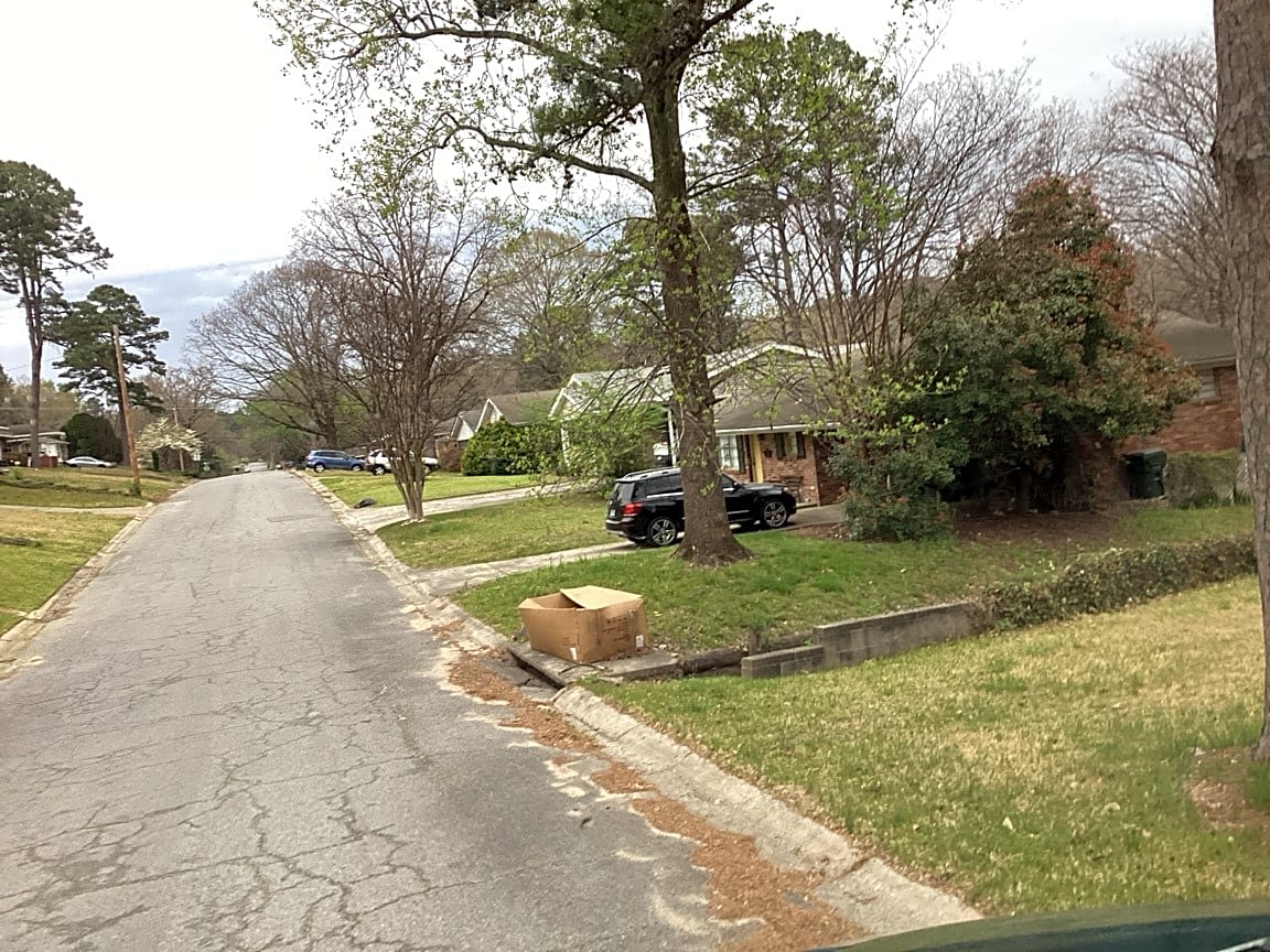 Image submitted with report