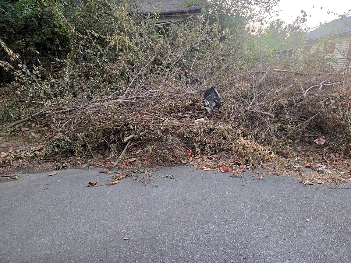 Image submitted with report